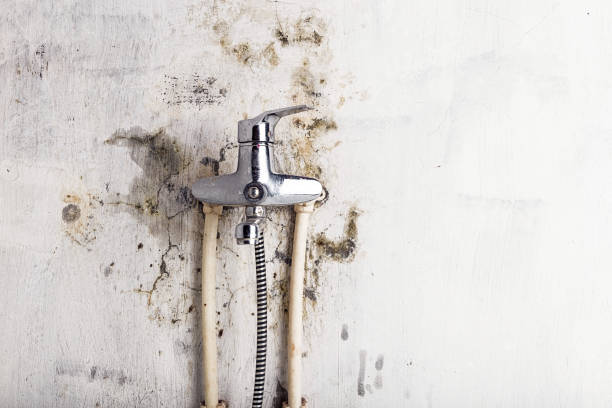 Best Residential Mold Remediation in Red Oaks Mill, NY