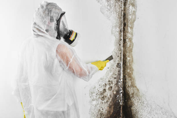 Best HVAC Mold Remediation in Red Oaks Mill, NY