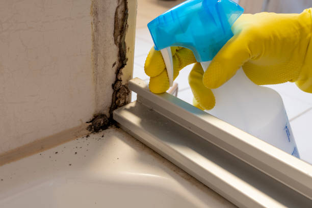 Professional Mold Remediation in Red Oaks Mill, NY